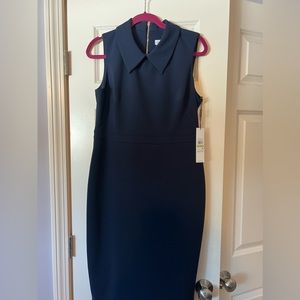 Calvin Klein Sheath Dress